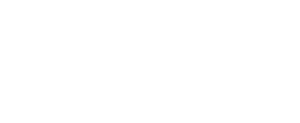 logo-bianca-danst-ballet-dansschool-waddinxveen-wit